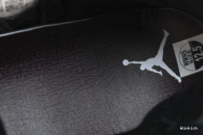 RETRO DV6989-001 WMNS AJ12 Jordan 12 SP Air 0914